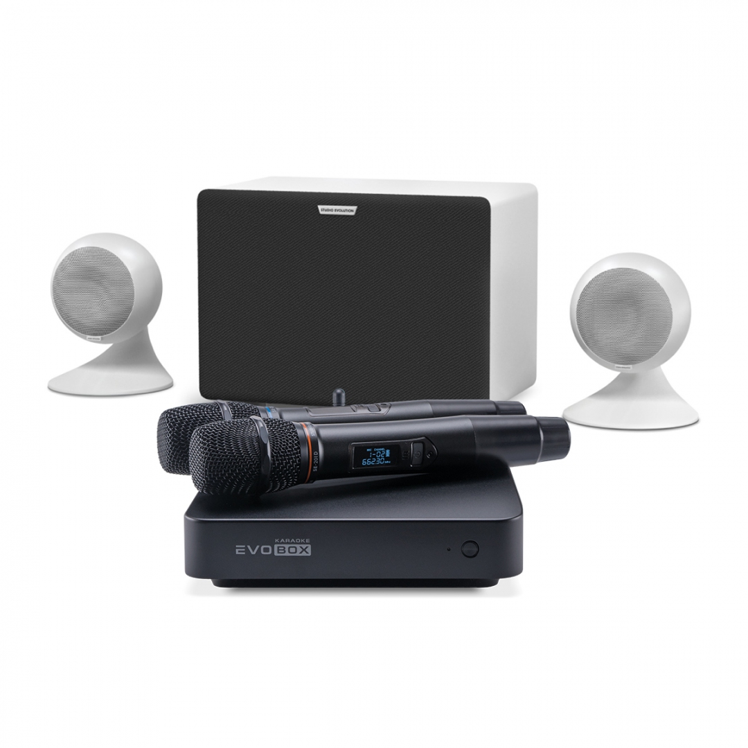 караоке-комплект EVOBOX Classic + EvoSound Sphere 2.1 в Симферополе
