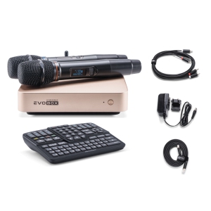 EVOBOX Classic караоке-система для дома в Симферополе